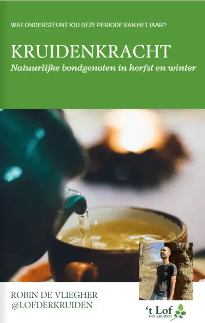 Herb Power: natural allies in autumn and winter