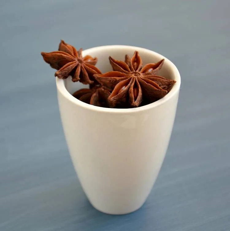 Homemade pho broth with organic star anise