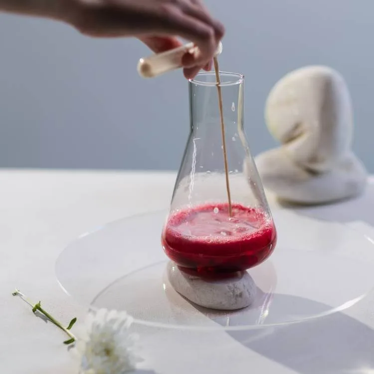 Raspberry vinaigrette with dried raspberries: fresh and tangy with salad and grilled meat