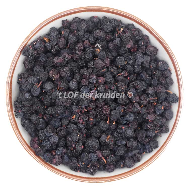 Blueberry-bio
