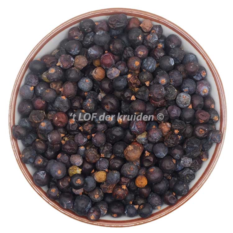 Juniper berries-bio