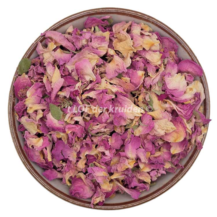 Rose petals