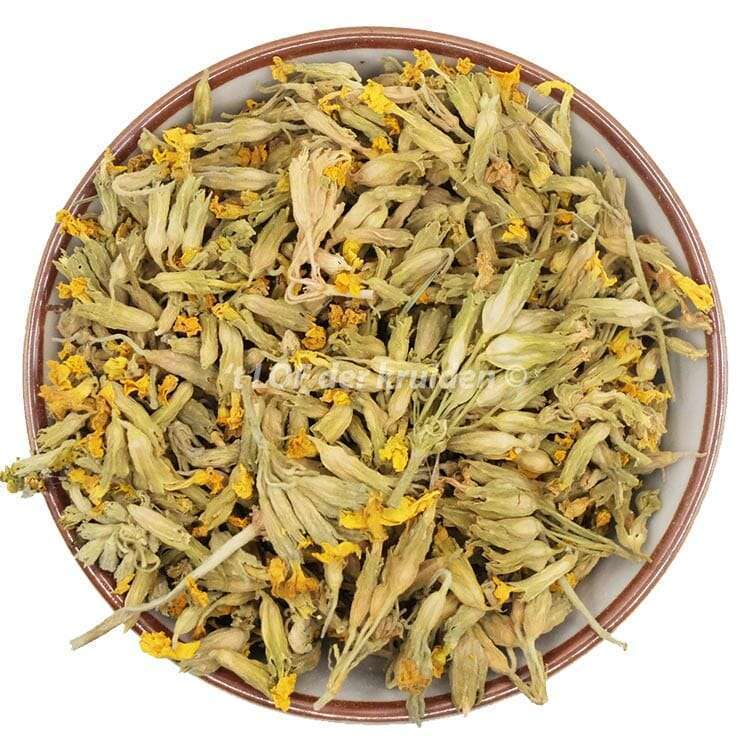 Keyflower bio
