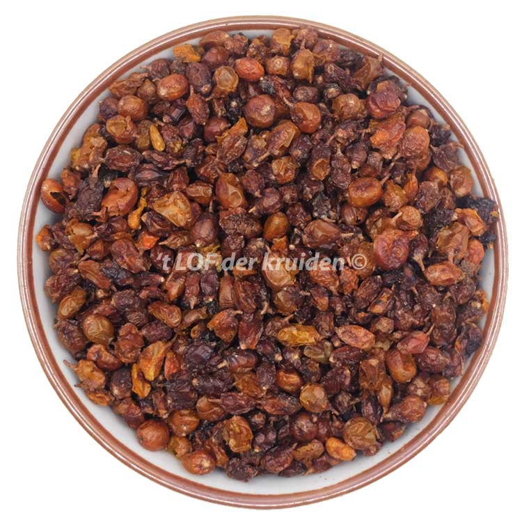 Sea buckthorn berries-bio