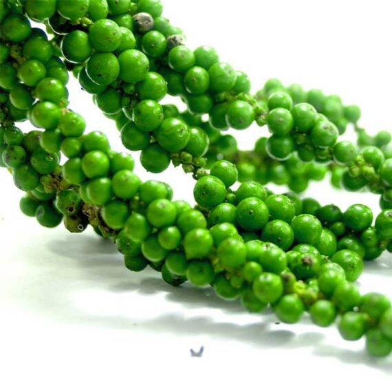Pepper-green-fruit