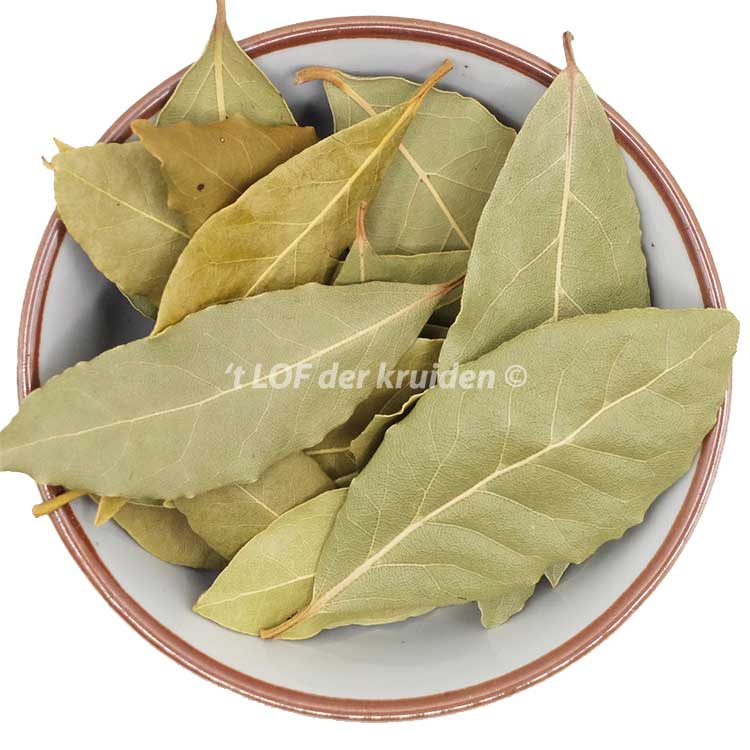 Laurel-leaves-bio