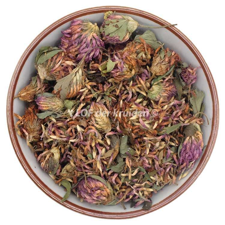 Red Clover Bio