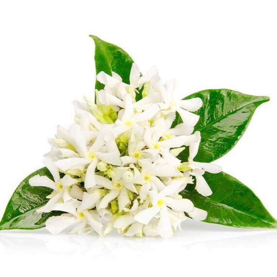 Neroli-EO