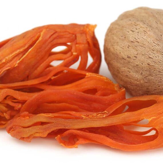 mace fruit