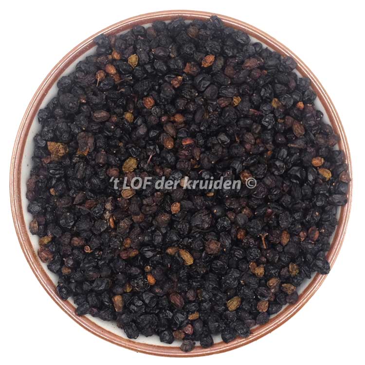 Elderberry organic