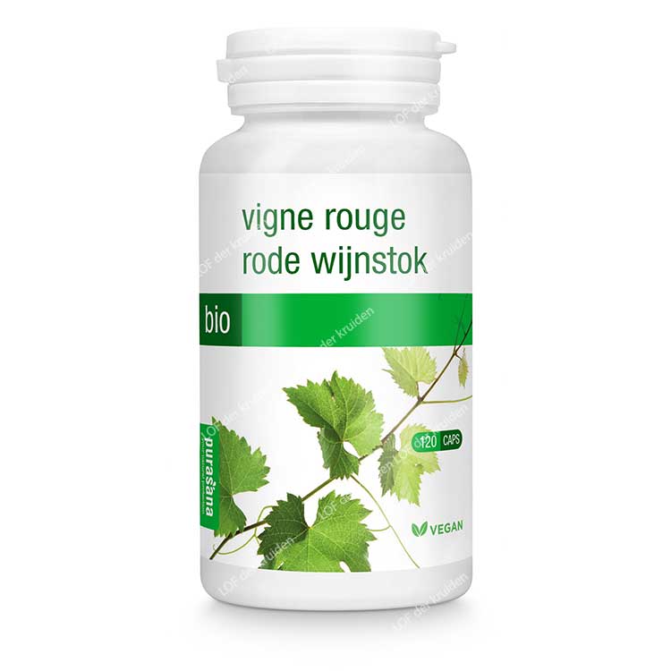 Red wijstok capsules purasana