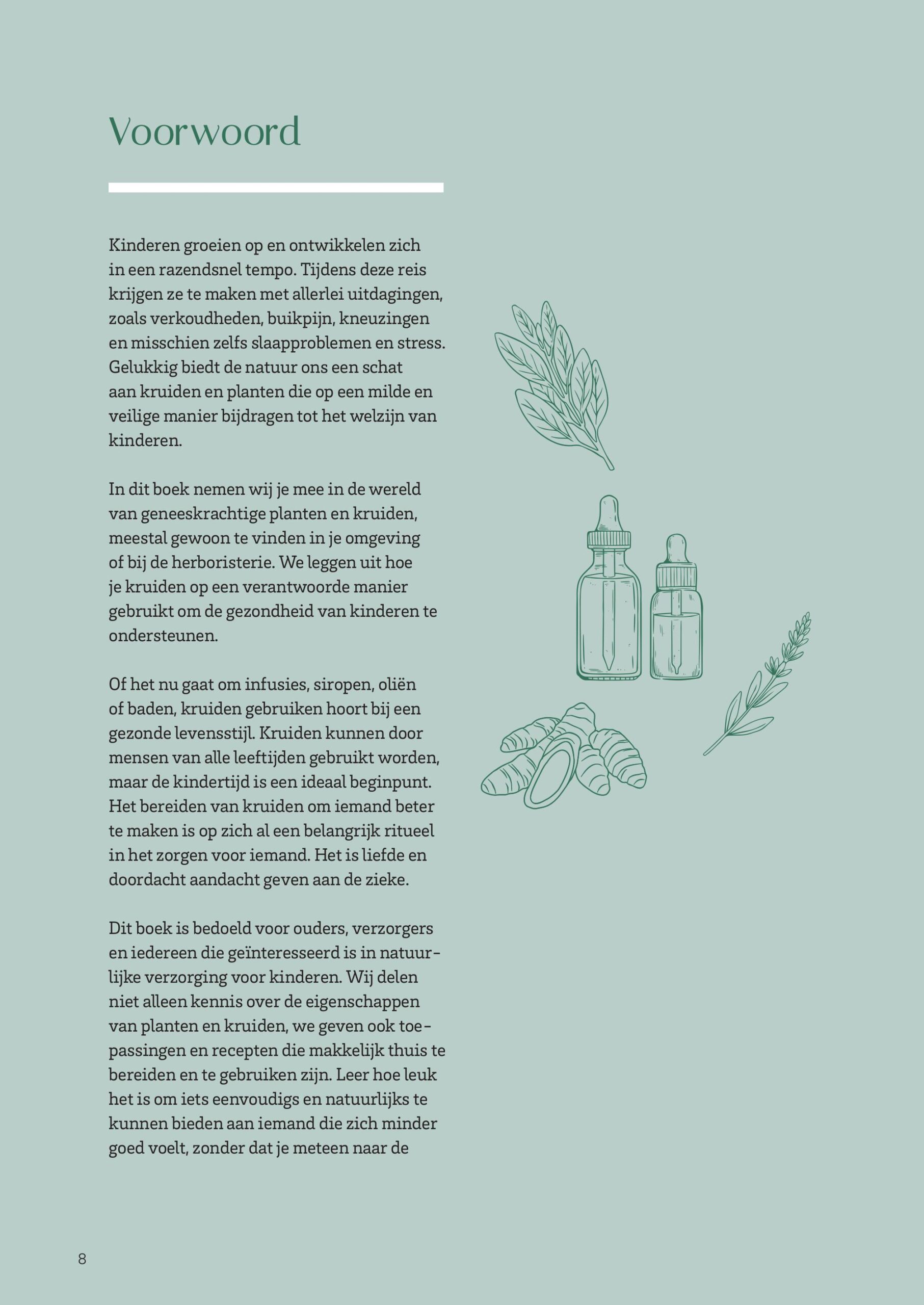 De kruidenapotheek voor het gezin: Houd je kind natuurlijk gezond (Dutch version) 6 De kruidenapotheek voor het gezin: Houd je kind natuurlijk gezond (Dutch version) - Image 6