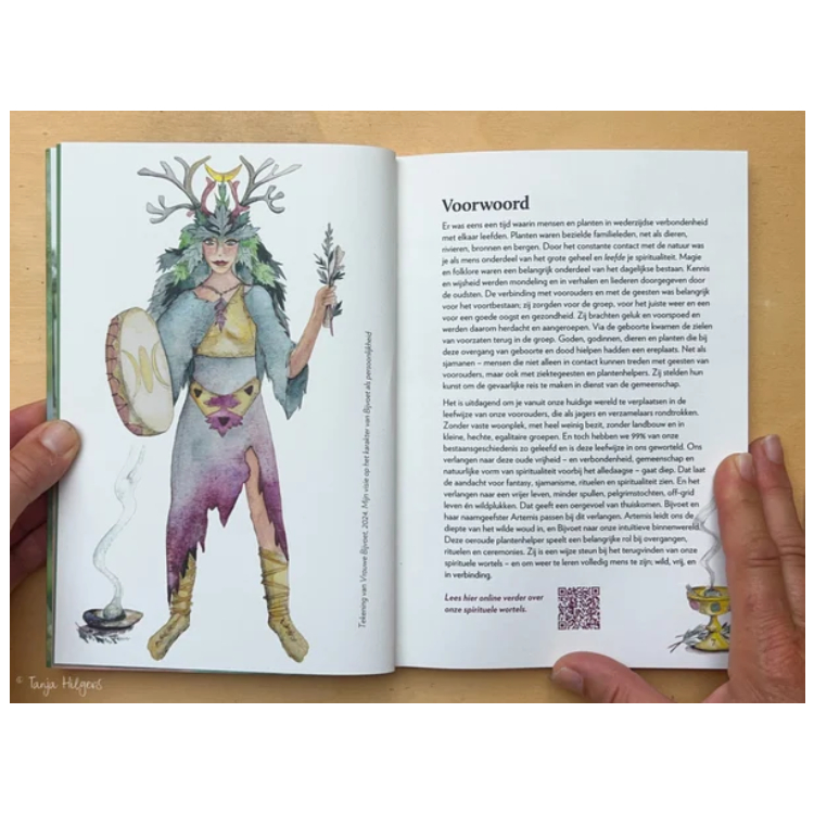 Bijvoet: Het magische vrouwen- en sjamanenkruid 3 Bijvoet: Het magische vrouwen- en sjamanenkruid - Image 3