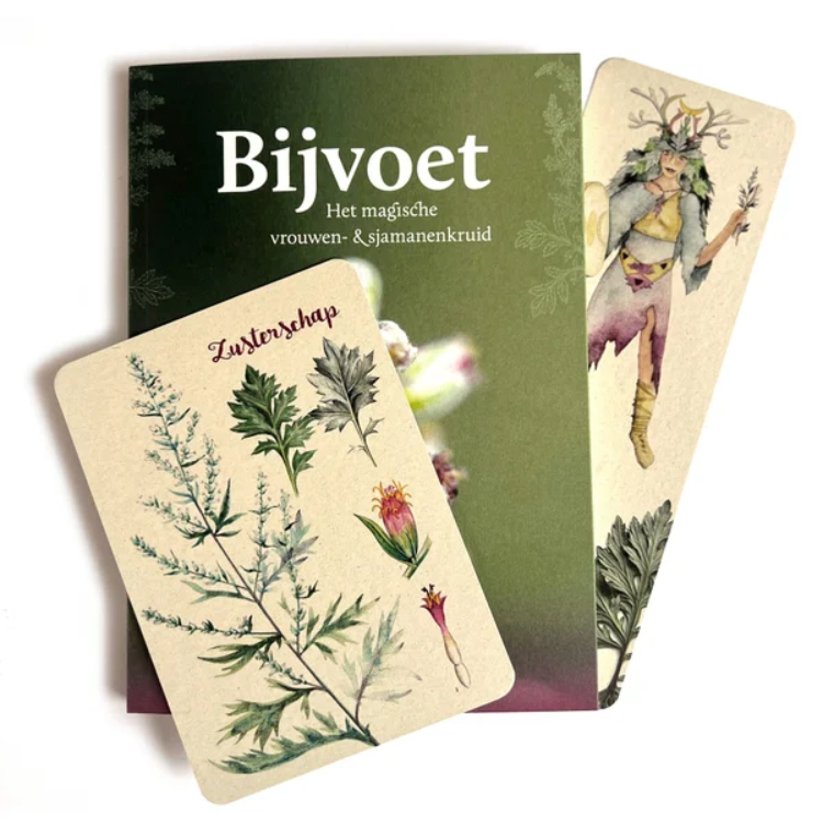 Bijvoet: Het magische vrouwen- en sjamanenkruid 2 Bijvoet: Het magische vrouwen- en sjamanenkruid - Image 2